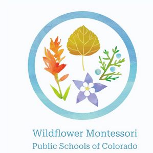 Screenshot 2023-07-26 at 4.04.46 PM.png