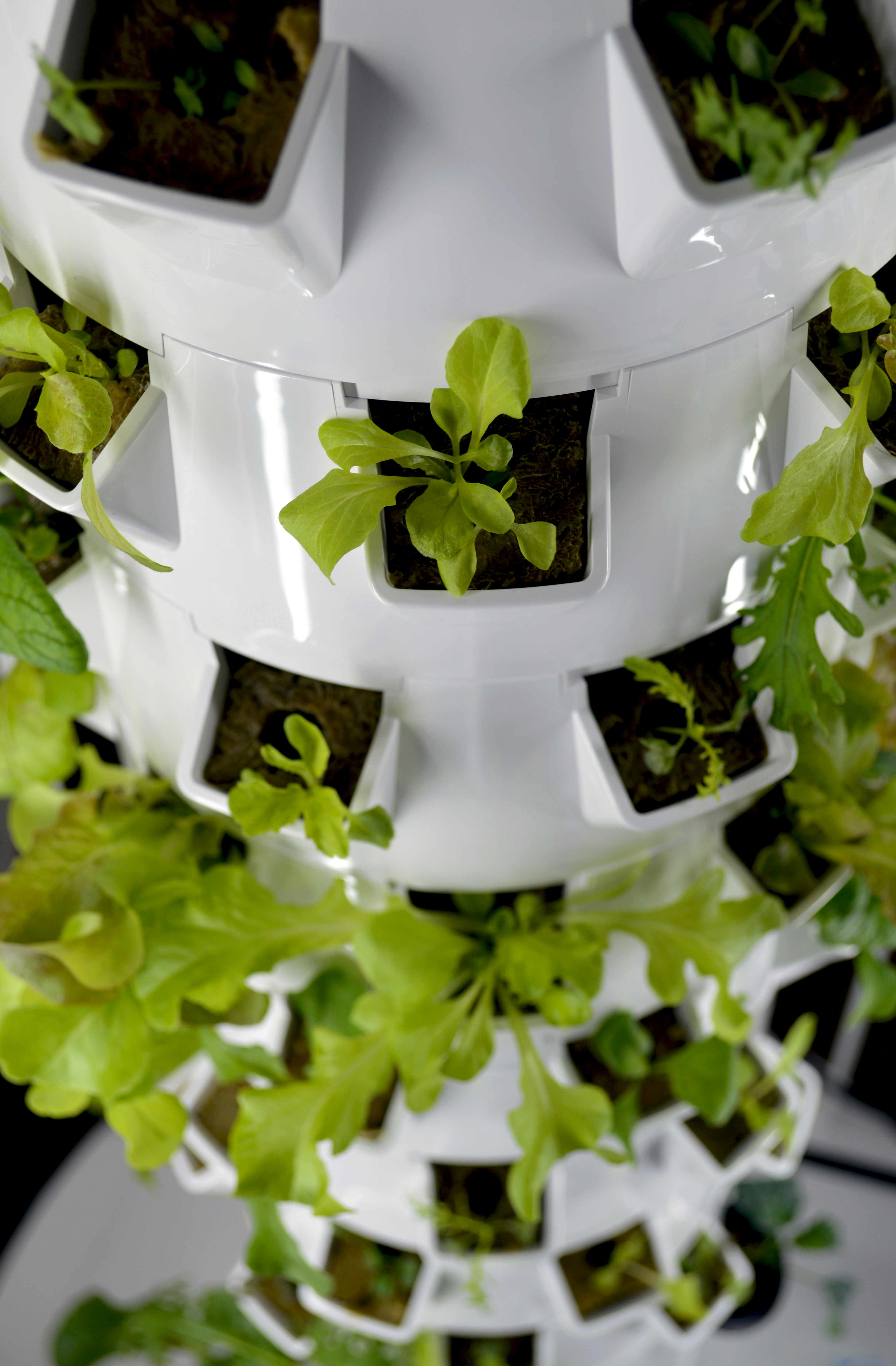 Hydroponic tower.jpg